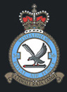 36 Sqn